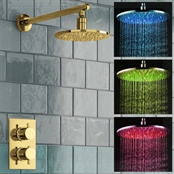 Wayfair Gold Shower Head